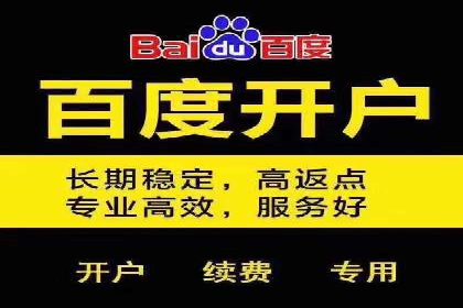 SEM代理实战：成功案例分享与经验总结